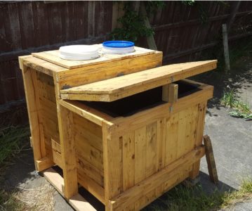 $20 DIY Aquaponic Fish Tank from Recycled Pallets - Practical ...